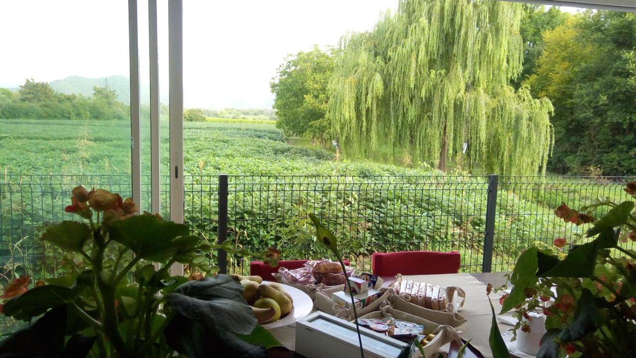 Due Carrare B&B La Via Dell'Ambra מראה חיצוני תמונה